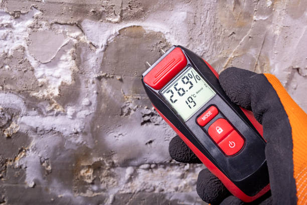 Best White Mold Remediation in Wright Patterson Af, OH